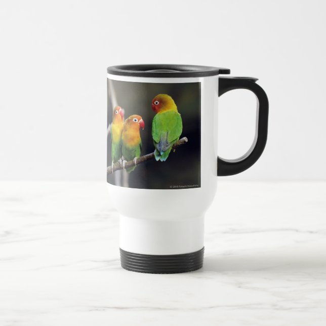 Fischer's Lovebird Resemugg (Höger)