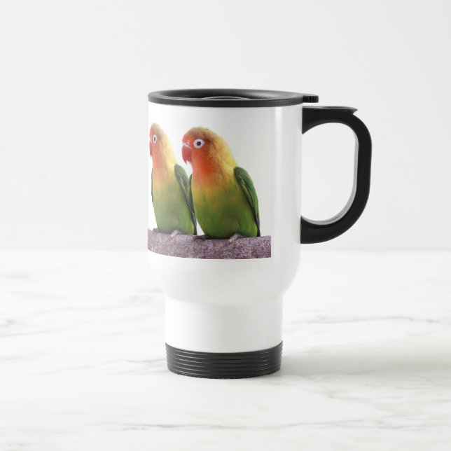 Fischer's Lovebird Resemugg (Höger)