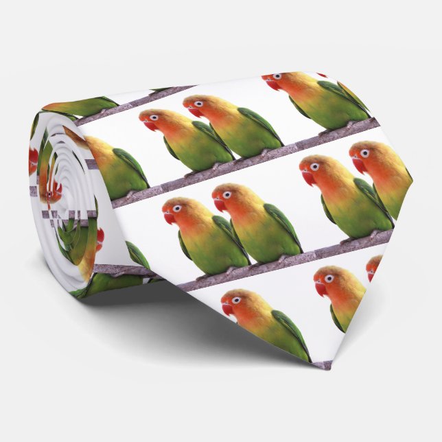 "Fischer's Lovebird" Slips (Rullad)