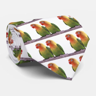 Fischer's Lovebird Slips
