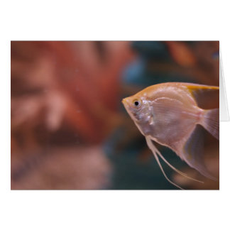 "fish" av Larry Coressel Hälsningskort