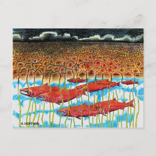 Fish Dream Vykort (Framsida)