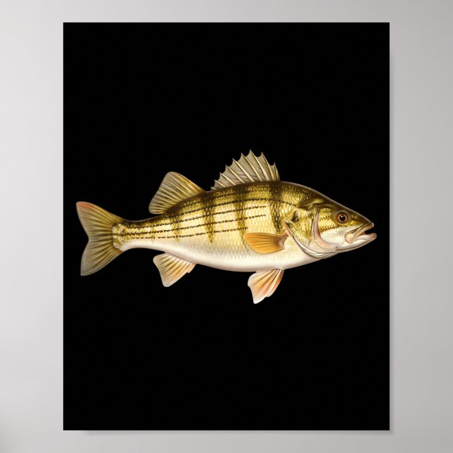 Fish Ed B Er Fishing Art For Anglers  Poster (Framsidan)