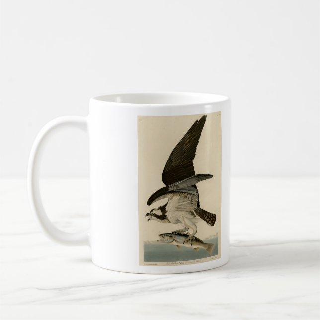 Fish Hawk, Osprey, från Audubon's Birds of America Kaffemugg (Vänster)