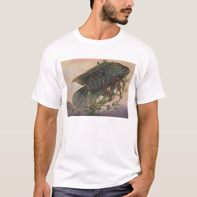 Fish - Jack Dempsey - Archentrus octofasciatus Tee Shirt (Framsida)