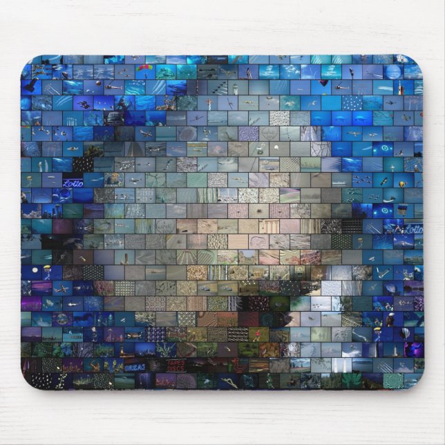 Fish Mosaic Musmatta (Framsidan)