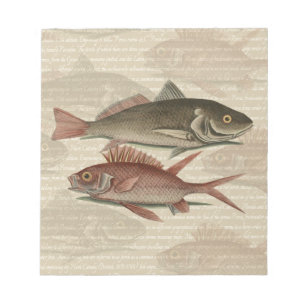 Fish Red Perch Fisherman Art Anteckningsblock