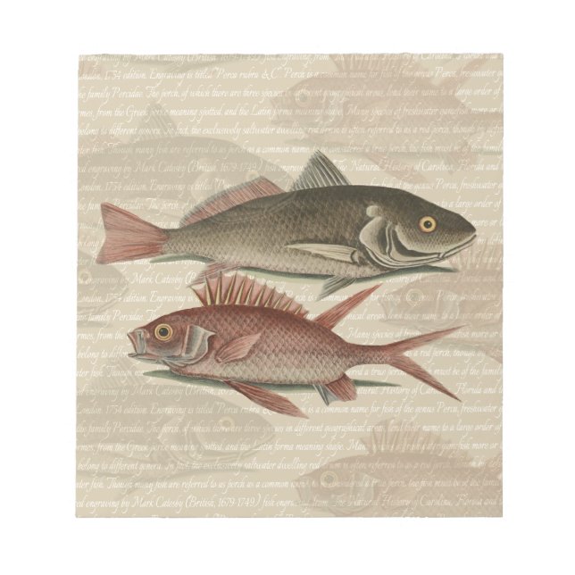 Fish Red Perch Fisherman Art Anteckningsblock (Framsida)