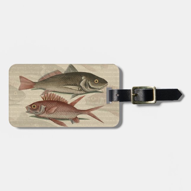 Fish Red Perch Fisherman Art Bagagebricka (Horisontell Framsida)