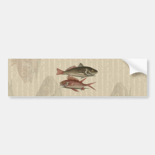 Fish Red Perch Fisherman Art Bildekal