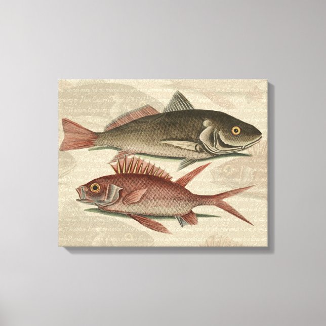 Fish Red Perch Fisherman Art Canvastryck (Framsida)