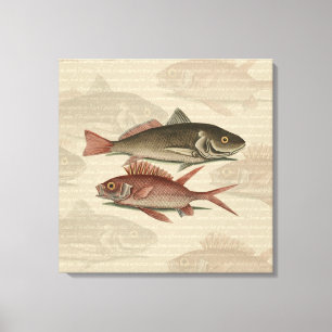 Fish Red Perch Fisherman Art Canvastryck