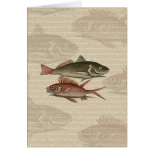 Fish Red Perch Fisherman Art Hälsningskort
