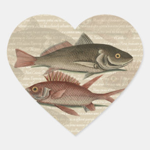 Fish Red Perch Fisherman Art Hjärtformat Klistermärke