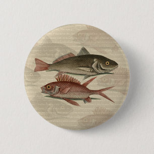 Fish Red Perch Fisherman Art Knapp