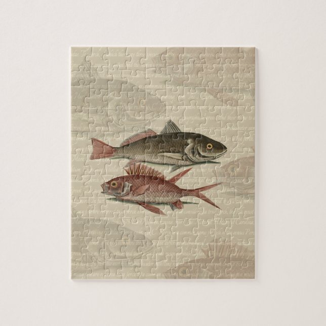 Fish Red Perch Fisherman Art Pussel (Vertikal)