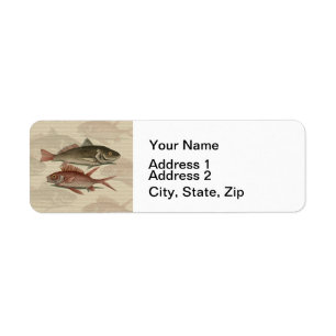 Fish Red Perch Fisherman Art Returadress Etikett