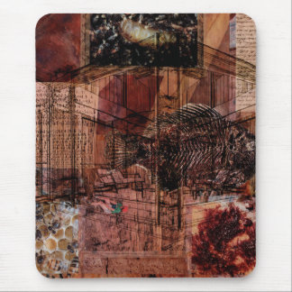 Fish Remember Trees — Musmatta