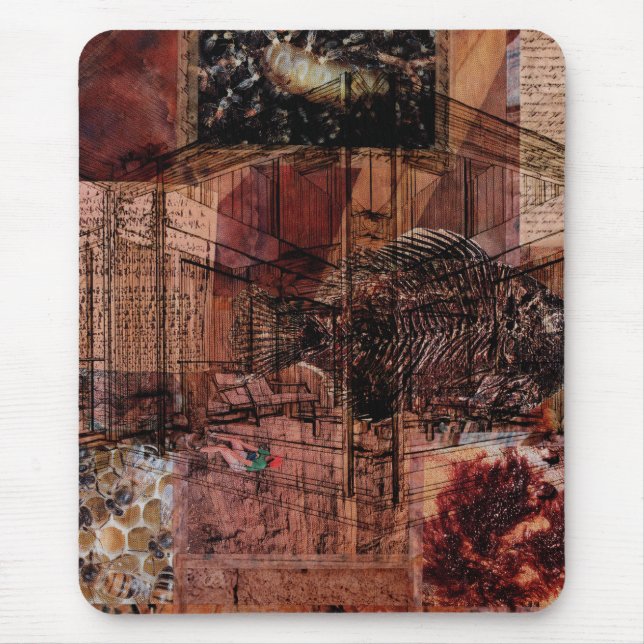 Fish Remember Trees — Musmatta (Framsidan)