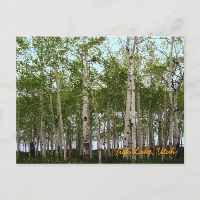 Fish Sjö, Utah Vykort (Framsida)