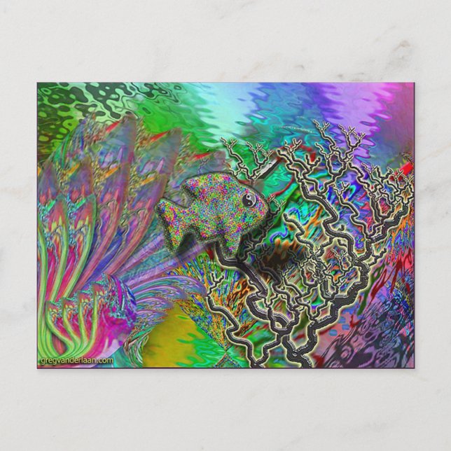 fish-yinyang vykort (Framsida)