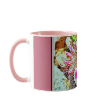 Fishhookkaktus med rosablommuggen