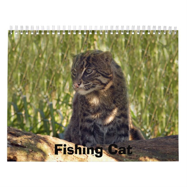 FishingCat008 som fiskar katten Kalender (Omslag)