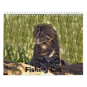 FishingCat008 som fiskar katten Kalender