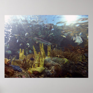 Fisk2 Poster