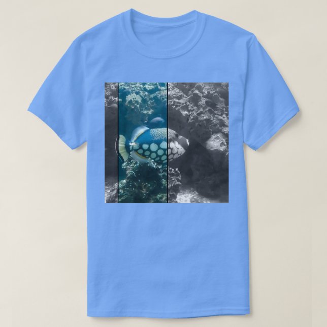 Fisk 24 t shirt (Design framsida)