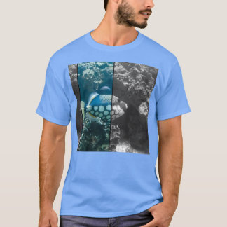 Fisk 24 t shirt