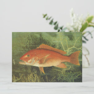 Fisk av rödsnapper i havet, Vintagens marina liv