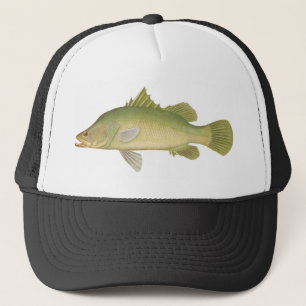 Fisk - Barramundi - Lates calcarifer Truckerkeps