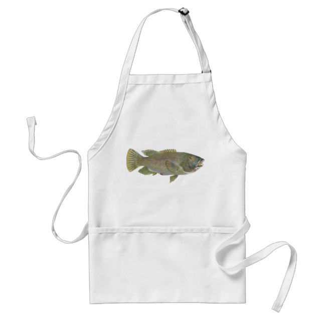 Fisk - blå odlare - Achoerodus gouldii Förkläde (Framsidan)