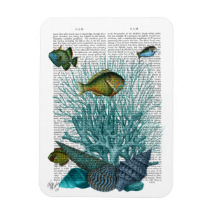 Fisk, blå Snäckor och koraller Magnet