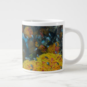 Fisk bland korallrev jumbo mugg