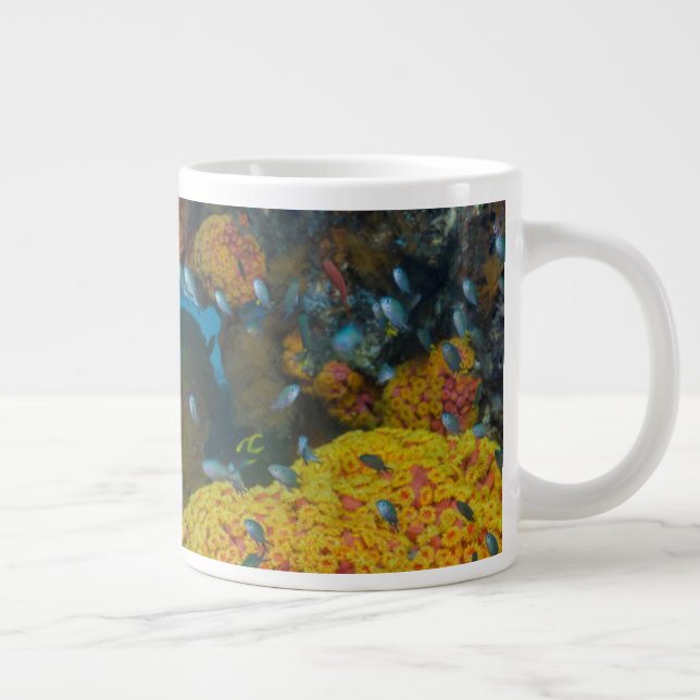 Fisk bland korallrev jumbo mugg (Höger)