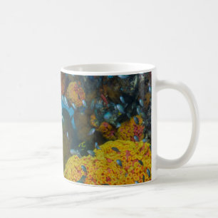 Fisk bland korallrev kaffemugg