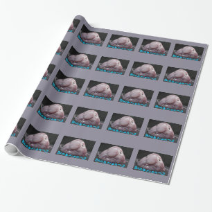 Fisk eller Blobfish för klick för rolig gåvasja Presentpapper