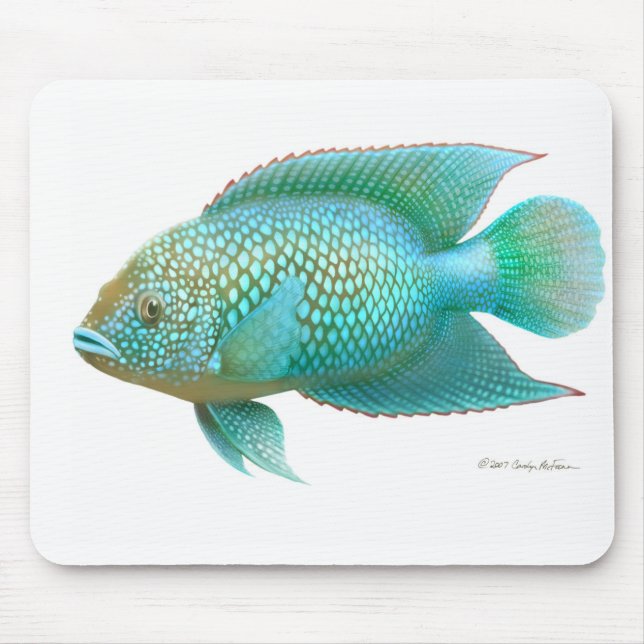 Fisk för jackDempsey Cichlid Musmatta (Framsidan)