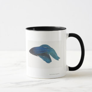 Fisk för stridighet för Betta fisk- eller Mugg