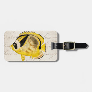 Fisk för vintageRaccoonfjäril - antik hawaiibo Bagagebricka
