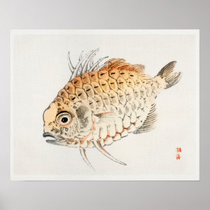 Fisk från Kōno Bairei (1844-1895) Poster