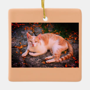 Fisk gingerkatt julgransprydnad keramik
