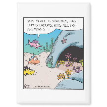 Fisk hus jakt med gott om Anemoner 