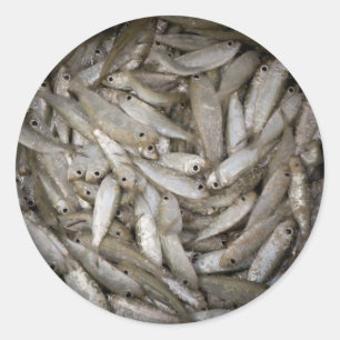 Fisk i en bucket runt klistermärke