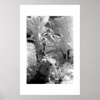 Fisk i Garden of Eden Poster