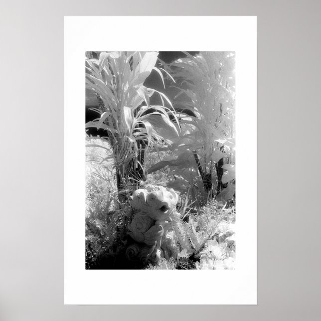 Fisk i Garden of Eden Poster (Framsidan)