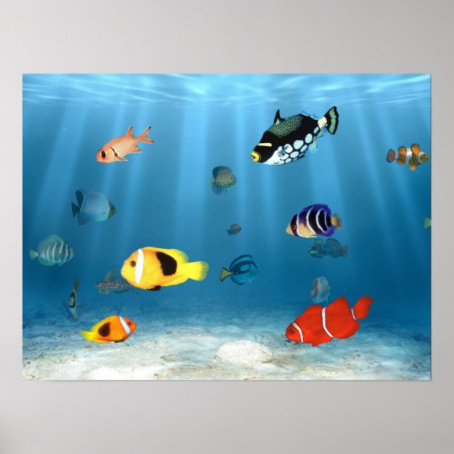 Fisk i havet poster (Framsidan)