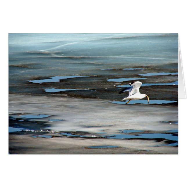 Fisk i munnen hälsningskort (Framsidan Horizontal)